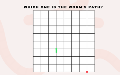 Spatial Worm 2D (SP2) Training PRO